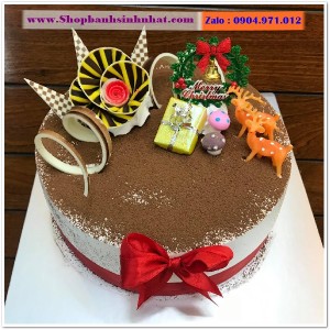 Bánh Sinh Nhật Tiramisu - T18
